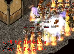 ��ο����������ư�ɳ�ǣ����ֱؿ�����