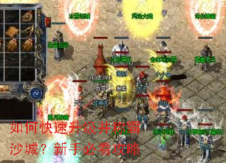 ��ο����������ư�ɳ�ǣ����ֱؿ�����