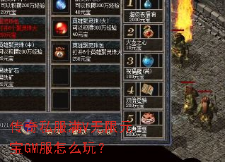 ����˽����V����Ԫ��GM����ô�棿