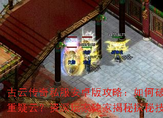 ���ƴ���˽����׿�湥�ԣ�����ƽ��������ƣ�������Ҷ��ҽ���̽�ؼ���