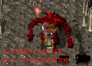 XX������Щ���ɺ��������ţ�����ְҵѡ����