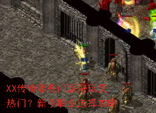 XX������Щ���ɺ��������ţ�����ְҵѡ����