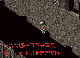 XX������Щ���ɺ��������ţ�����ְҵѡ����