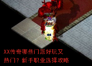 XX������Щ���ɺ��������ţ�����ְҵѡ����