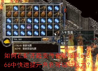 ������¿����䴫��˽����sf666�п���������ɫ�ȼ���ս����