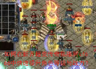 ������¿����䴫��˽����sf666�п���������ɫ�ȼ���ս����