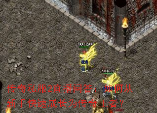 ����˽��2ֱ���ʴ���δ����ֿ��ٳɳ�Ϊ�������ߣ�