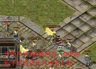 ����˽��2ֱ���ʴ���δ����ֿ��ٳɳ�Ϊ�������ߣ�