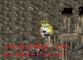 ����˽��2ֱ���ʴ���δ����ֿ��ٳɳ�Ϊ�������ߣ�