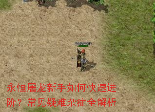 ��������������ο��ٽ��ף�����������֢ȫ����