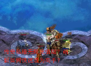 传奇私服无限充值版?萌新如何快速成为高手? 传奇私服无限充值版?萌新如何快速成为高手?