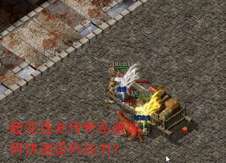 ������������˽����ο�������ս����