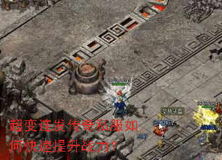 ������������˽����ο�������ս����