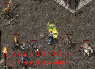 �ߵȼ�սʿ�������ս�������ڴ�����Ϸ����ʤ��