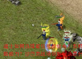 ��ʿ���ѡ����Ѽ�����ϣ�������������������ɳ�Ϳ�ս����ʤ�ؾ���ʲô��