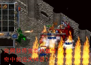 ��λ�ñ�̬��Ѫ�����е�����������