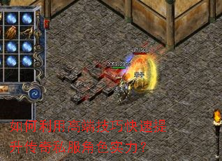 ������ø߶˼��ɿ�����������˽����ɫʵ����