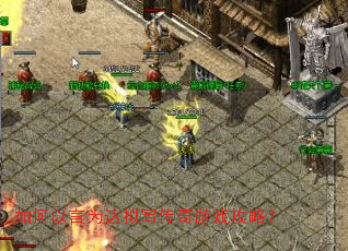 �������Ϊ����д������Ϸ���ԣ�