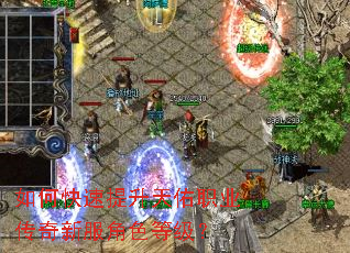 ��ο�����������ְҵ�����·���ɫ�ȼ���