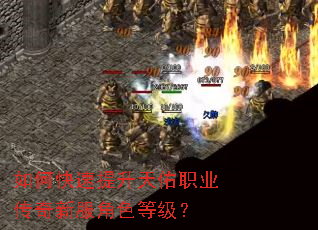 ��ο�����������ְҵ�����·���ɫ�ȼ���