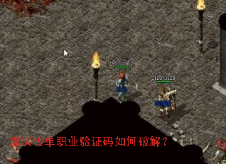 ħ������ְҵ��֤������ƽ⣿