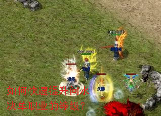 ��ο���������ˮ����ְҵ�ĵȼ���