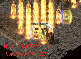 ʲô�����ͻ��ѪȾ�����ķ����ϵͳ��