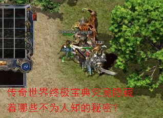 ���������ռ����便����������Щ��Ϊ��֪�����ܣ�