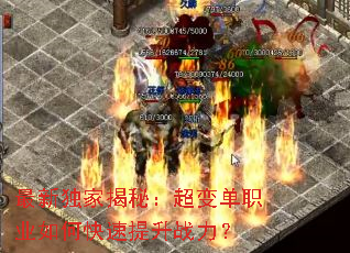 ���¶��ҽ��أ����䵥ְҵ��ο�������ս����