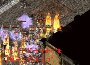 ��ο������������·�����һ���ս������