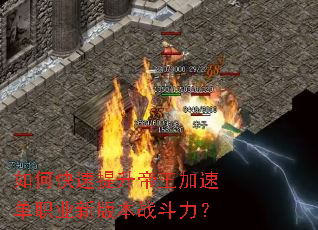 ��ο��������������ٵ�ְҵ�°汾ս������