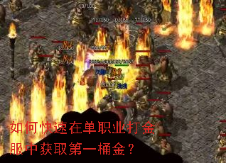 ��ο����ڵ�ְҵ�����л�ȡ��һͰ��