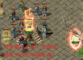 ���������������ο�������ս���ư�ȫ����