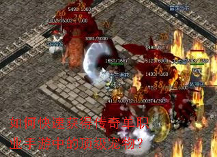 ��ο��ٻ�ô��浥ְҵ�����еĶ������