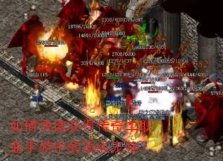 ��ο��ٻ�ô��浥ְҵ�����еĶ������