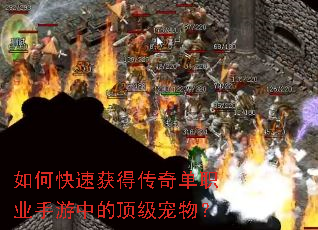 ��ο��ٻ�ô��浥ְҵ�����еĶ������