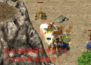 �귨��½��������Щ��Ϊ��֪�Ĵ��渨�����ܣ�