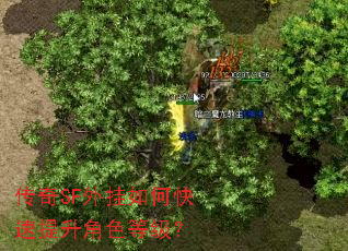 传奇SF外挂如何快速提升角色等级? 传奇SF外挂如何快速提升角色等级?