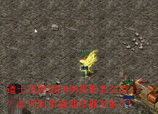 ��ʿ��Ĭ��PK�˺�����ô�죿������ø���������ʤ��