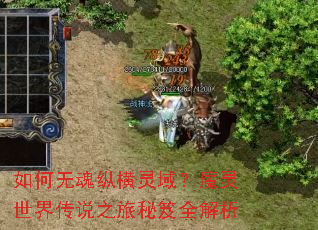 如何无魂纵横灵域?魔灵世界传说之旅秘笈全解析 如何无魂纵横灵域?魔灵世界传说之旅秘笈全解析