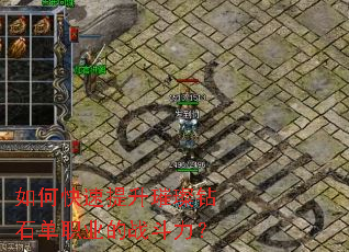 如何快速提升璀璨钻石单职业的战斗力? 如何快速提升璀璨钻石单职业的战斗力?