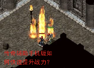 ���渨���ֻ�����ο�������ս����