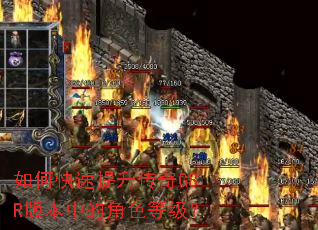 ��ο�����������GSR�汾�еĽ�ɫ�ȼ���