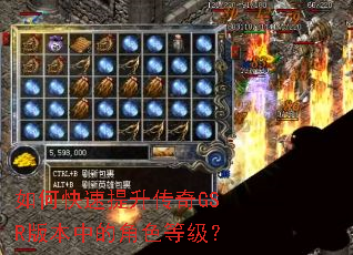 ��ο�����������GSR�汾�еĽ�ɫ�ȼ���