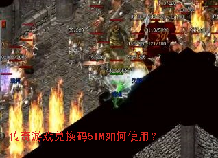 ������Ϸ�һ���5TM���ʹ�ã�