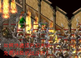 ��ο��������������Ѹ�����ս������