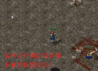 ���ʯ�����ƺź�������������