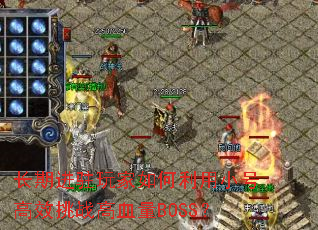 ���ڽ�פ����������С�Ÿ�Ч��ս��Ѫ��BOSS��