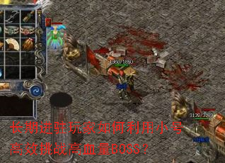 ���ڽ�פ����������С�Ÿ�Ч��ս��Ѫ��BOSS��