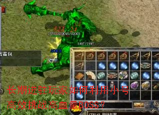 ���ڽ�פ����������С�Ÿ�Ч��ս��Ѫ��BOSS��